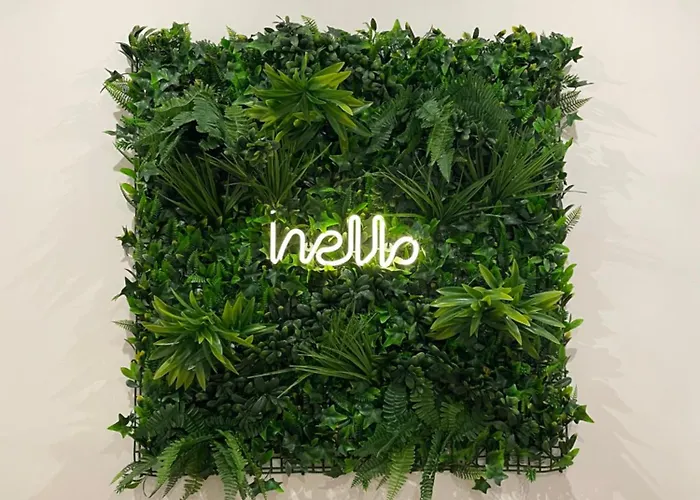 Affittacamere The 15 4*